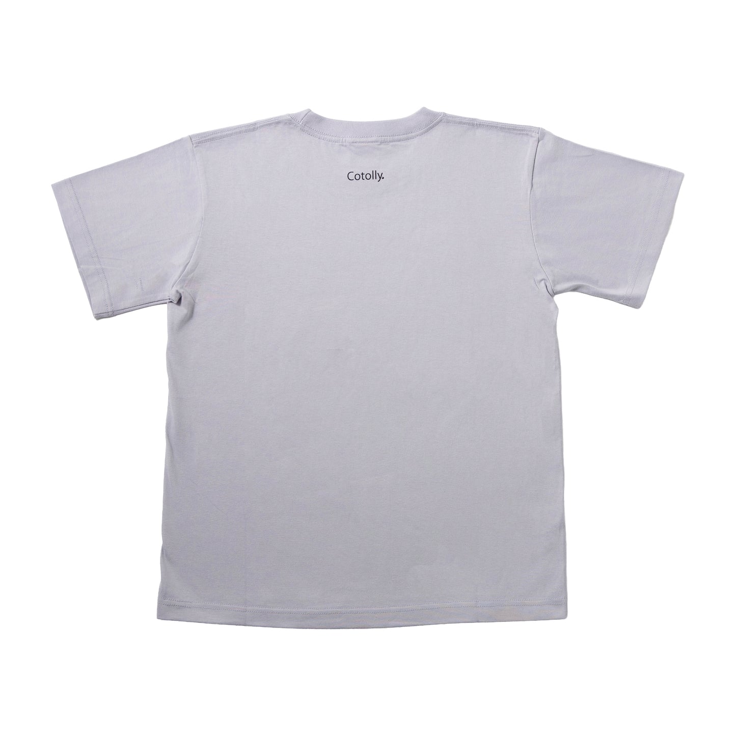Bird Tshirts　モモイロインコ
