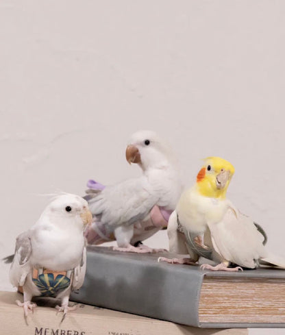 bird clothes［candy］
