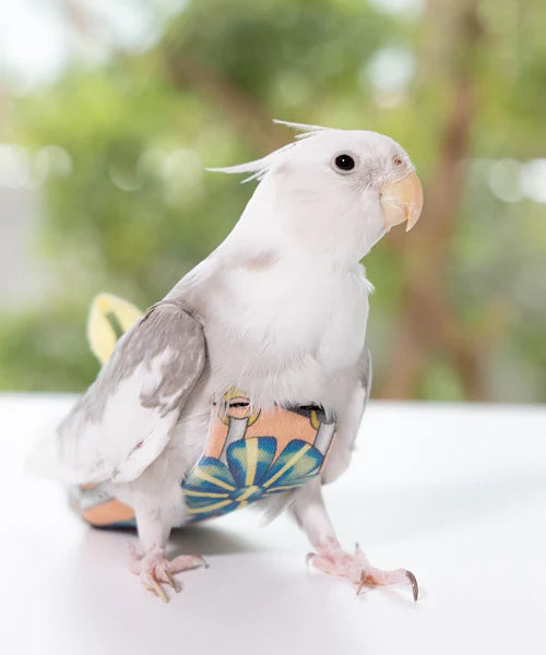 bird clothes [Pudding]