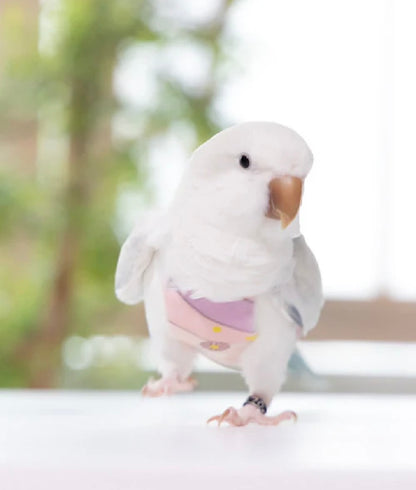 bird clothes［candy］