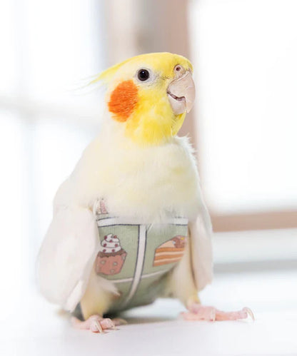 bird clothes［cake］